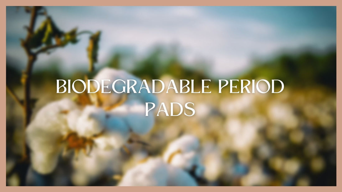 biodegradable sanitary pads
