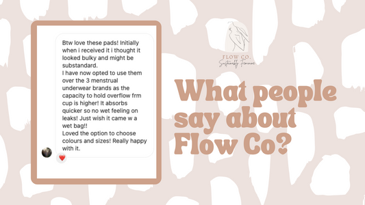 Eco period pads review